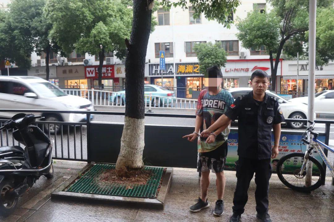 动态 第1076页
