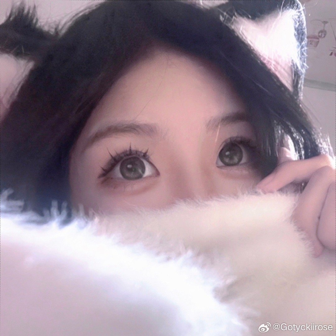 ovo最新