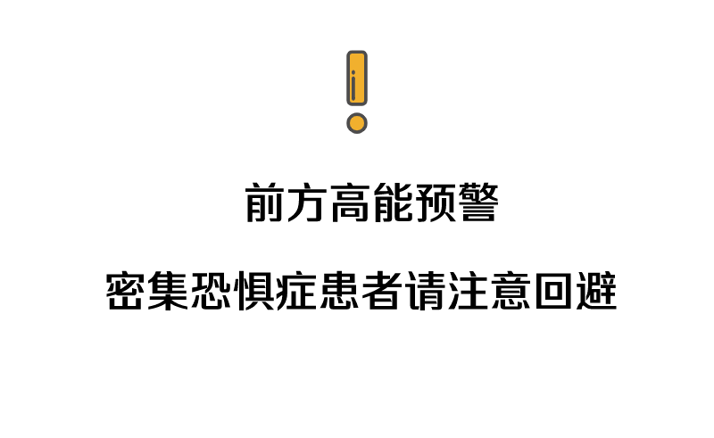 警告最新