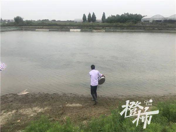 最新鱼塘