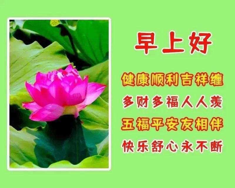 最新深情