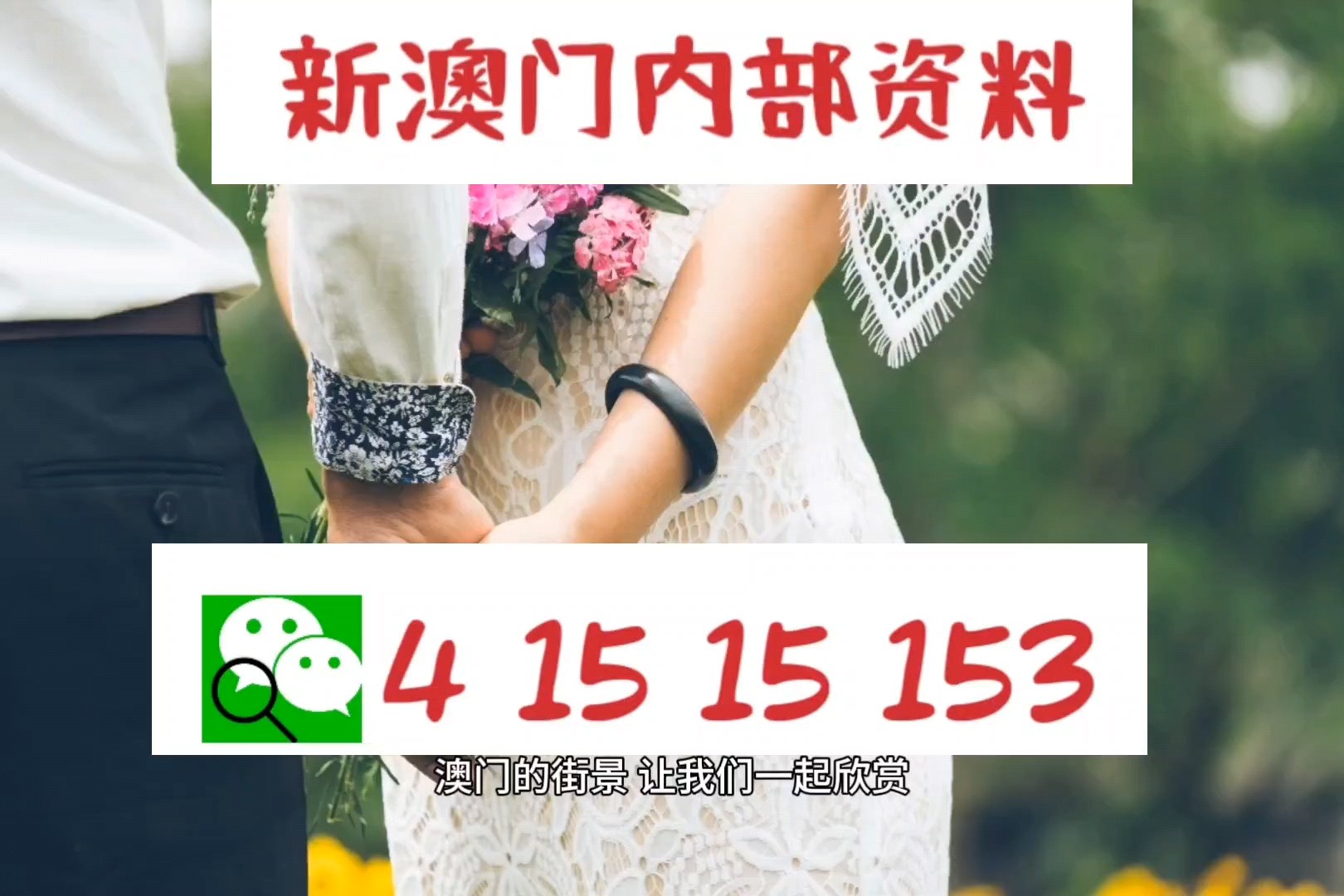 今晚澳门特马开的什么号码免费查看|精选解析解释落实