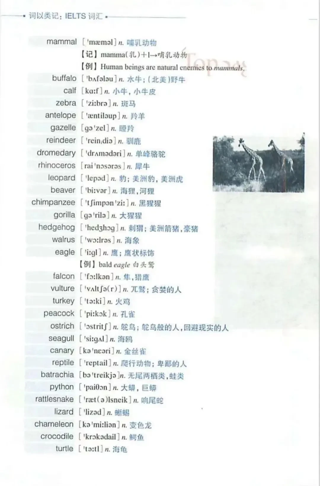 2024-2025新澳正版资料最新|词语作答解释落实