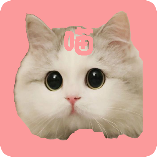 猫咪最新版本怎么下载