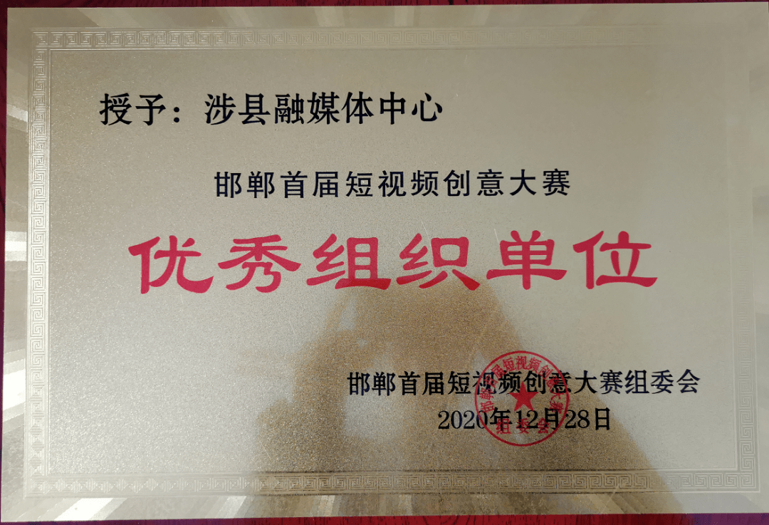 涉县招标网最新消息