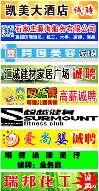 动态 第1177页