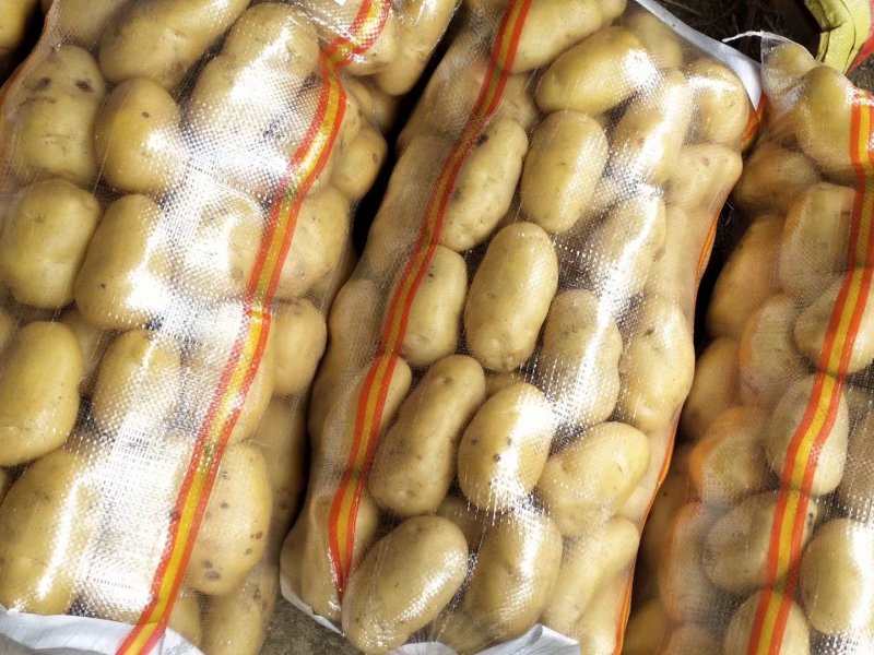万邦土豆最新价格行情