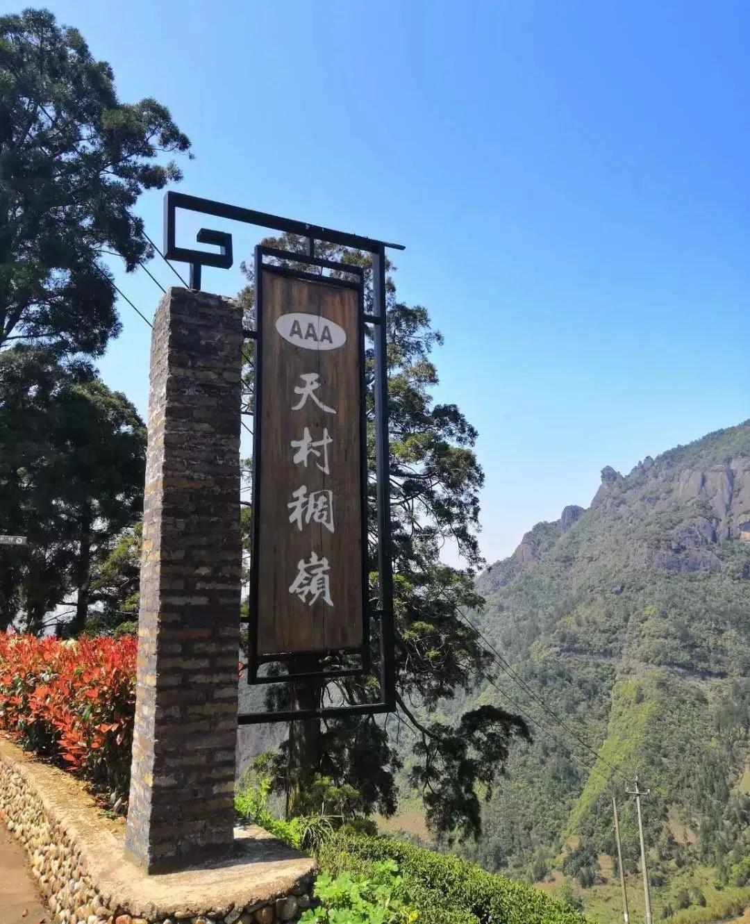 庆元连接线最新消息