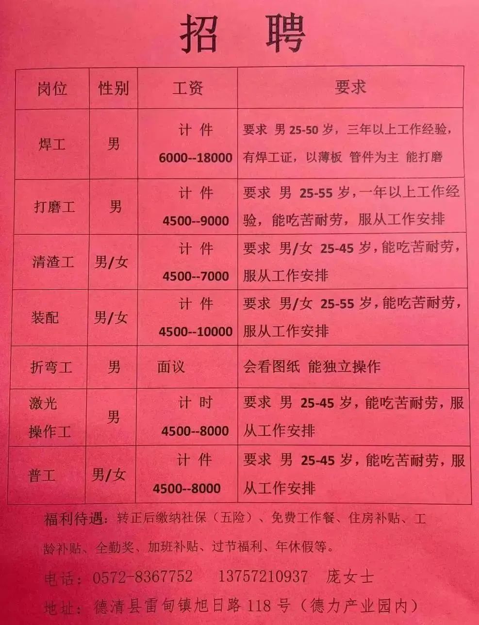 石家庄最新招聘信息网
