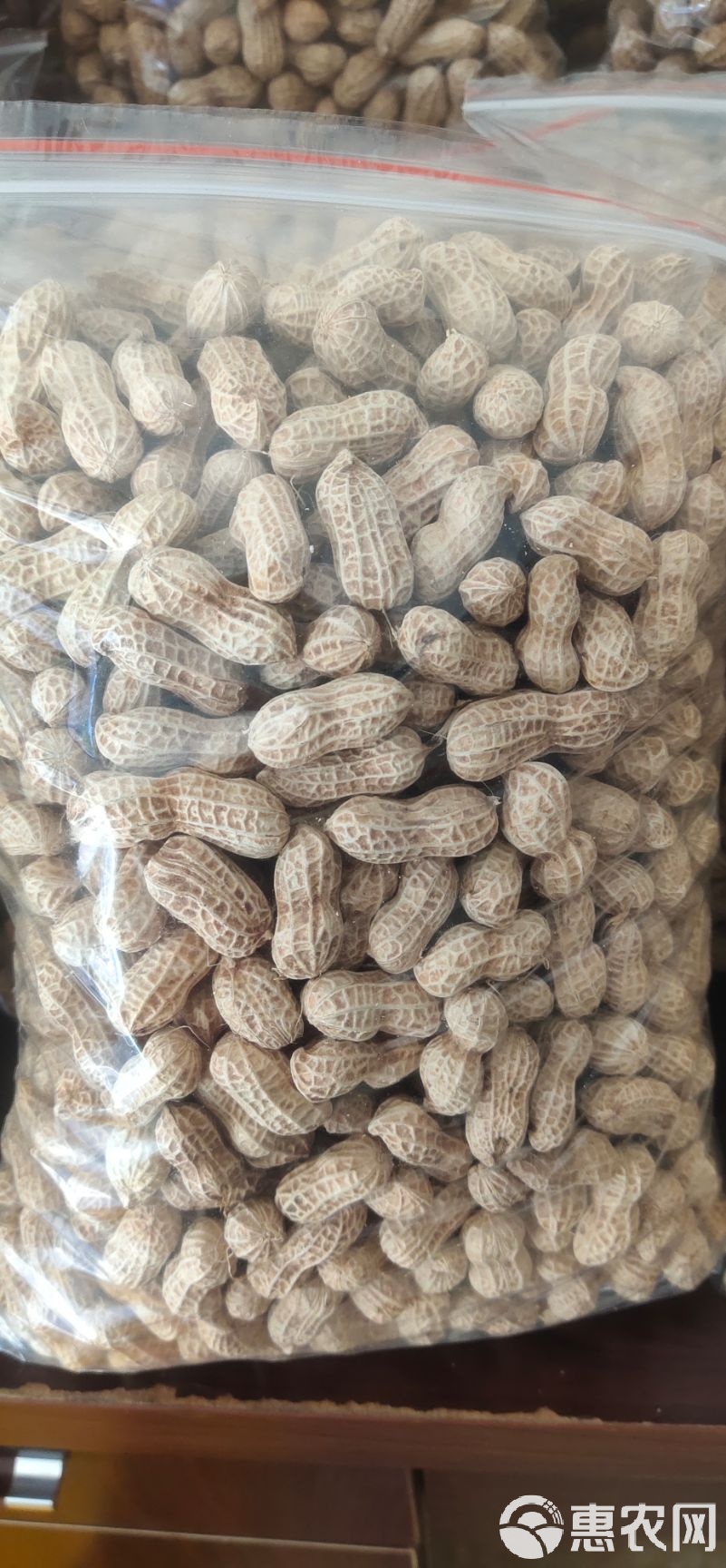 带壳花生最新批发价格