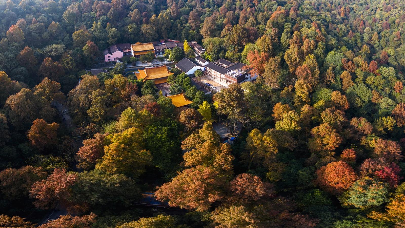 霍山县改市最新消息