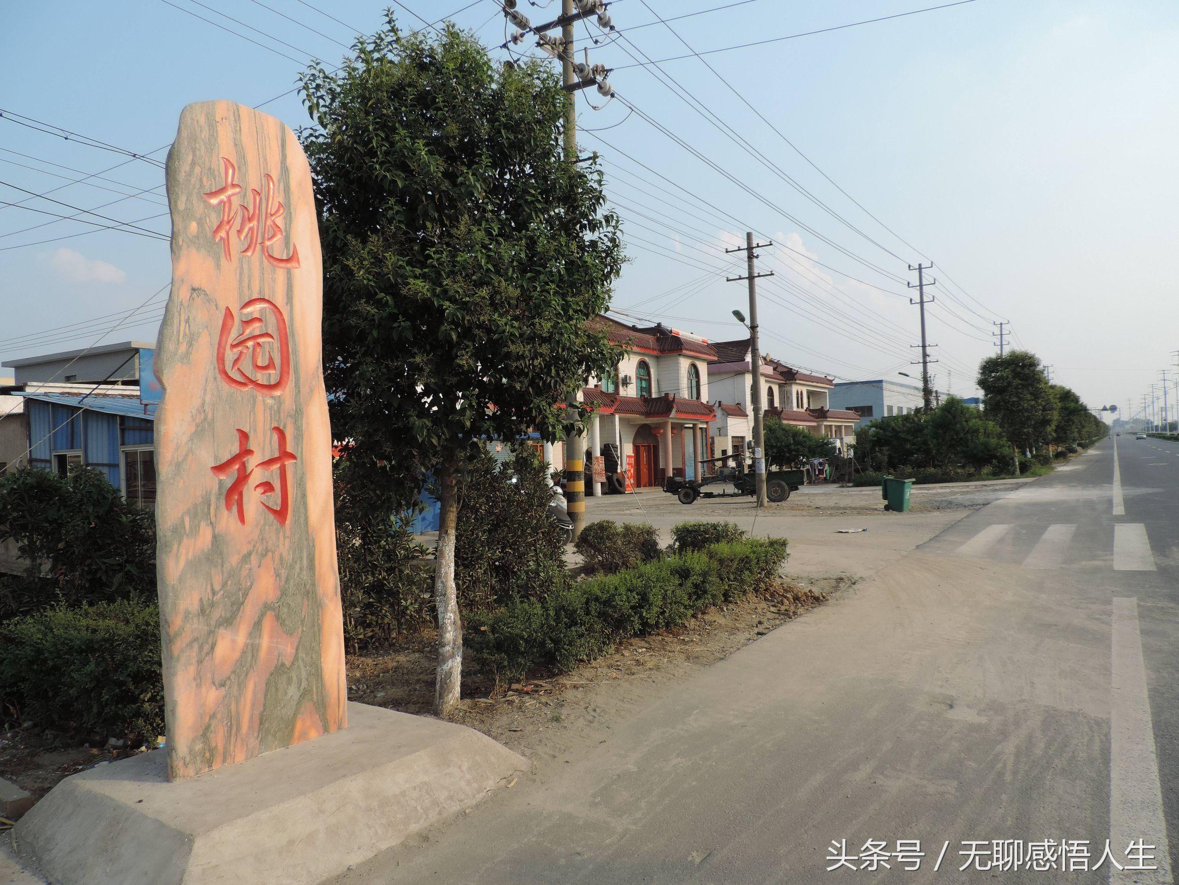 乐清市虹桥镇最新招聘信息