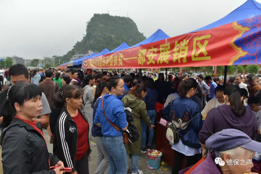德保最新招聘百事通