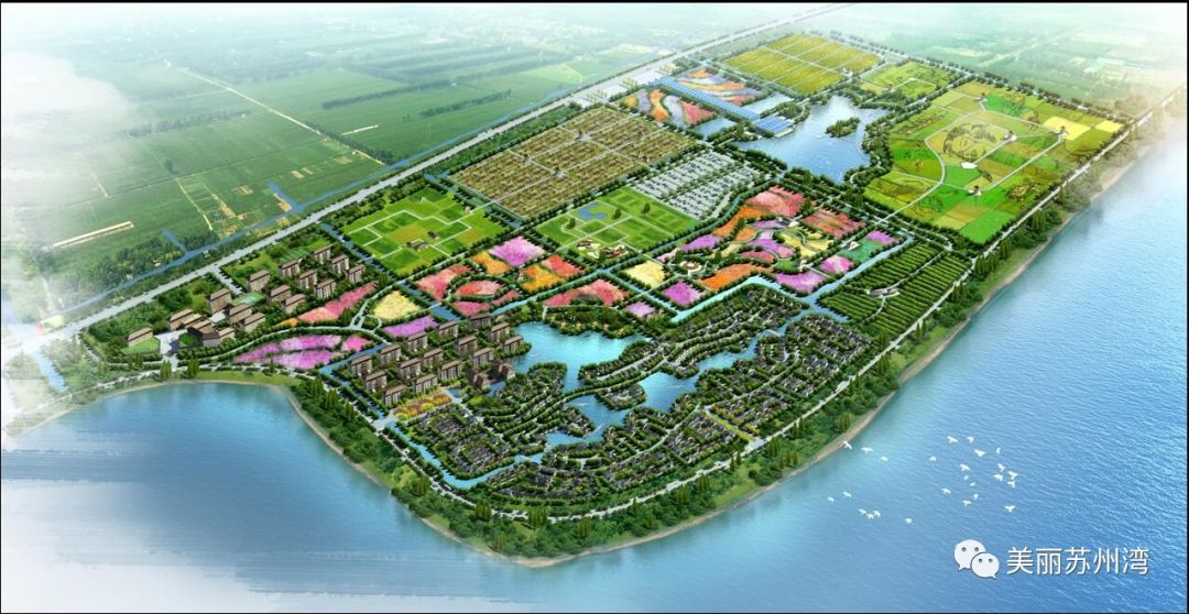 妙乐农禅小镇最新消息