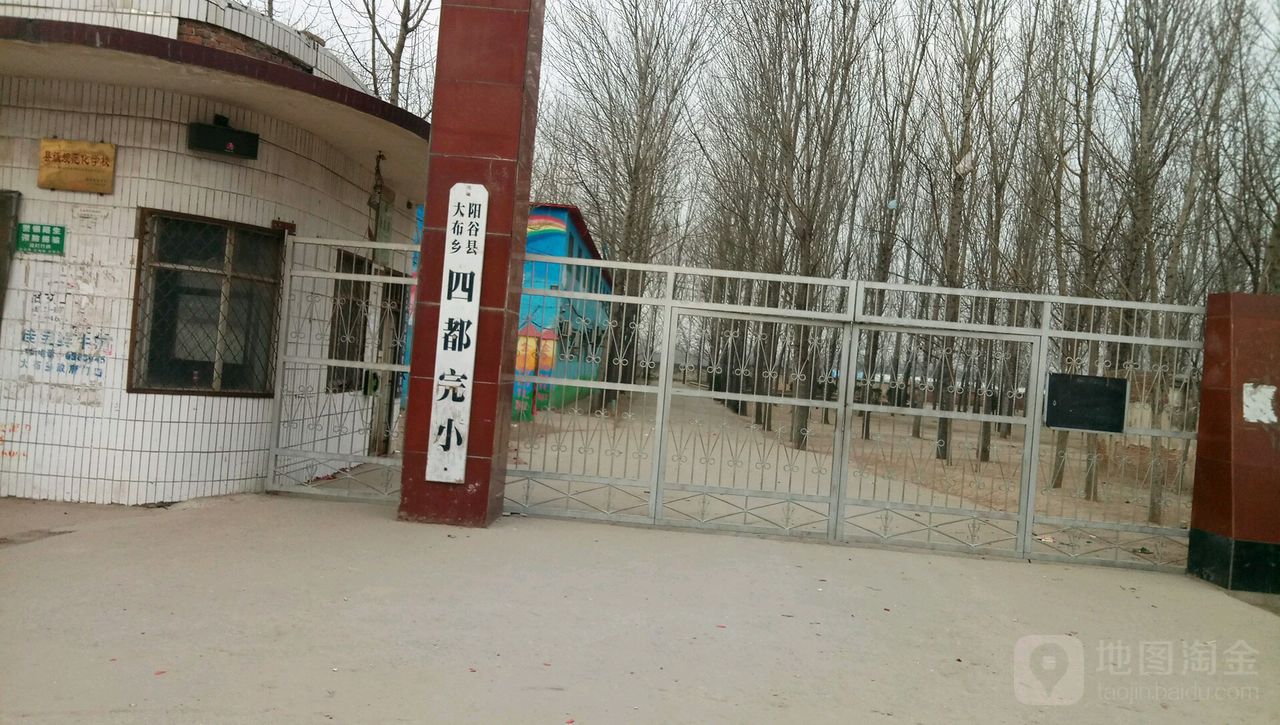 阳谷县大布乡最新新闻