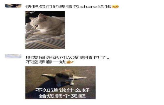 微信苹果5的最新版本