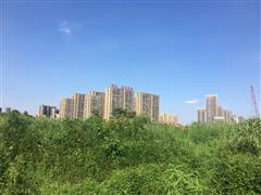 动态 第529页