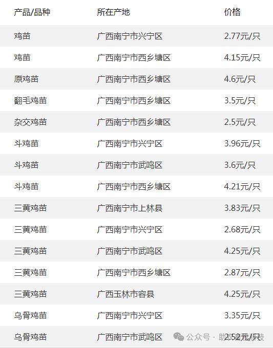 广西奄鸡最新市场价格