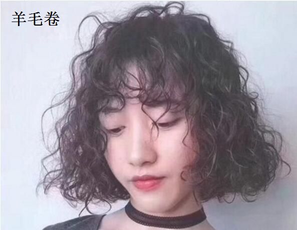 卷毛最新