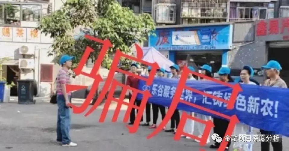 网恋最新