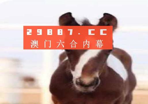 澳门最准一肖一码一码孑|词语释义解释落实