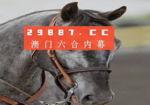 澳门一肖一码一特精准|精选解析解释落实